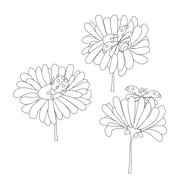 Katicabogarak a virágok monokróm vázlat stock vektor illusztráció web, nyomtatáshoz, kifestőkönyv - Vektor, kép