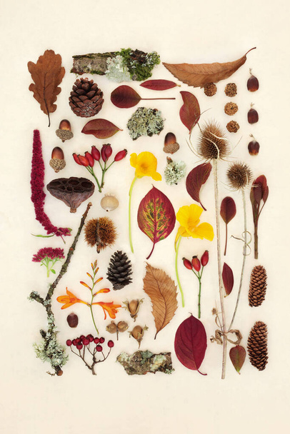 葉、花、果実、天然物の秋の自然研究。秋の感謝祭の季節の植物の詳細な組成。フラットレイ、麻紙の背景の上ビュー. - 写真・画像