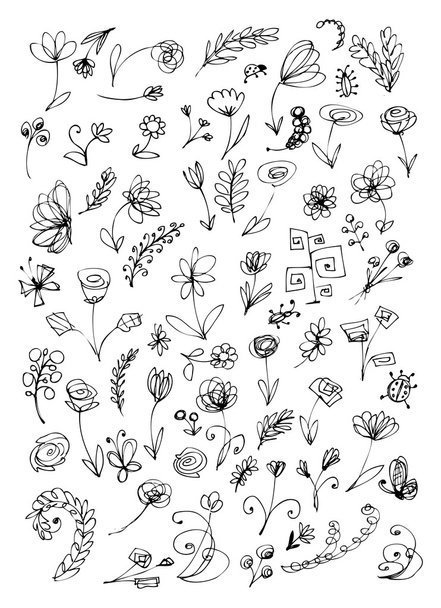 Sketch of floral elements for your design - ベクター画像