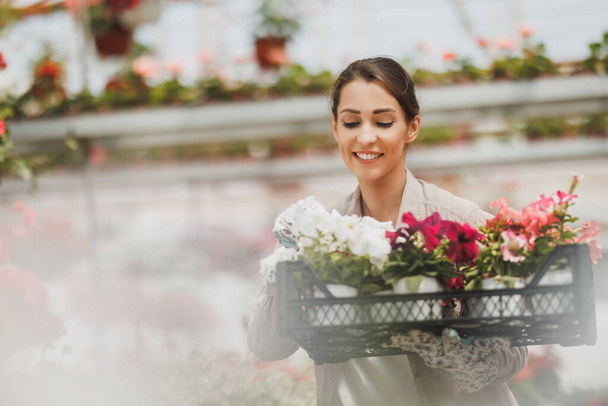 Young woman working in a garden center, holding crate and arranging flower pots with  flowers. - Foto, afbeelding