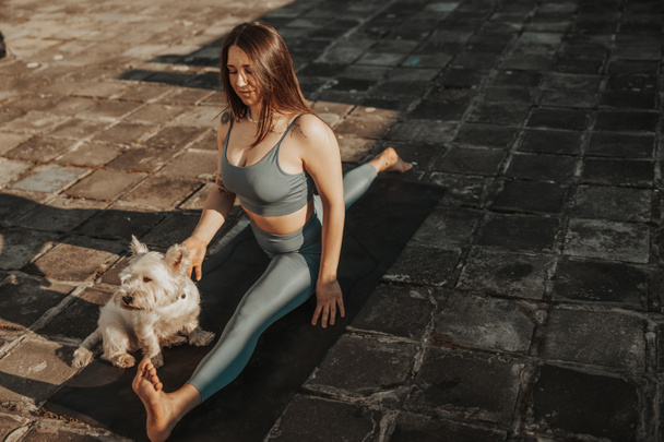 Розслаблена жінка практикує вправу йоги на даху, що підтримує її собаку
. - Фото, зображення