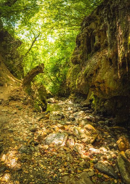 Mount Ida National Park. Edremit, Balikesir, Turkey. Mossy rocks. Crying waterfall (Aglayan Selale). Selective Focus - Photo, Image