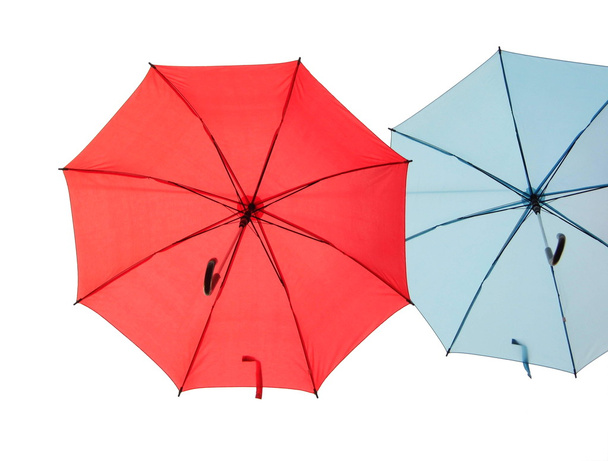 Paraguas sobre fondo blanco
 - Foto, Imagen