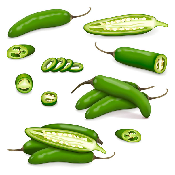 Set of green serrano Chile peppers. Whole, half, sliced, wedges of peppers. Chile serrano or serrano chilis. Chili pepper. Capsicum annuum. Vegetables. Vector illustration isolated on white background - Vector, imagen