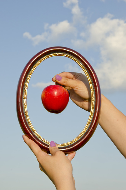 Woman hands with frame and apple - Photo, Image