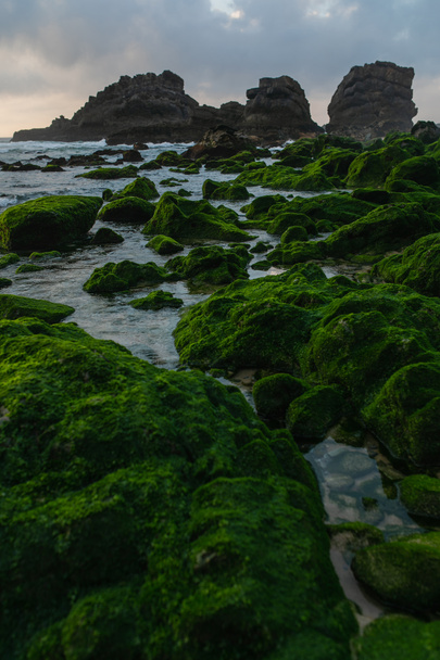 festői kilátás part zöld moha kövek közelében óceán Portugáliában  - Fotó, kép