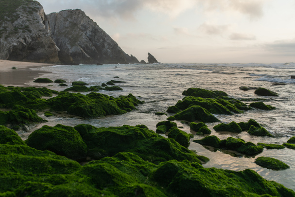 malerischer Blick auf die Bucht mit grünen bemoosten Steinen in Meeresnähe in Portugal  - Foto, Bild
