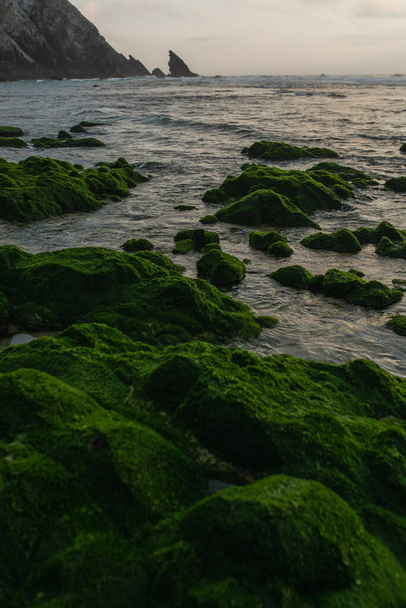 vista panorámica de piedras musgosas verdes cerca del océano en portugal  - Foto, Imagen