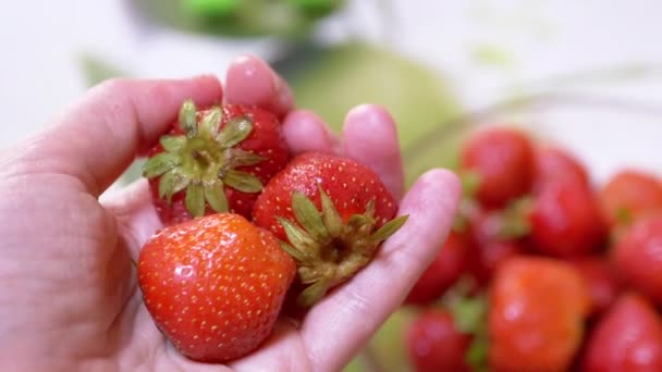 Female Hand Holding and Rotating Three Ripe Red Strawberry Taken from a Bowl. Blurred background. Full glass plate with berries on table. Harvest. Healthy food, organic seasonal food. Vitamins. Blur. - Video