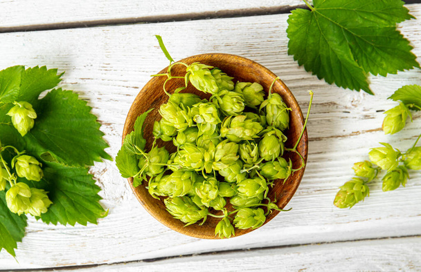 Picked herbal medicinal plant Humulus lupulus, the common hop or hops. Hops flowers in wood bowl on white wood background, indoors home. Flat lay view, copy space. - Фото, изображение