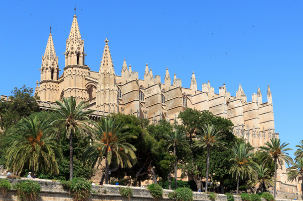 Cattedrale di Palma a Maiorca, Spagna
 - Foto, immagini