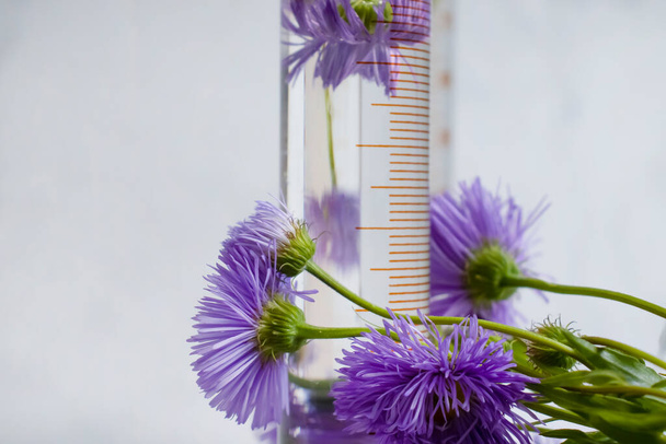 Laboratory flask, flower on a light background - Fotó, kép