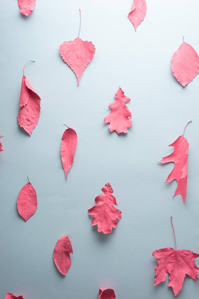 autumn leaves blue pink creative pattern paint. - Foto, afbeelding