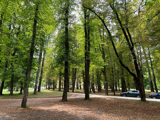 スネズニク城公園- Stari Trg pri Lozu,スロベニア(Park ob gradu Sneznik ali Grajski park Sneznik - Stari Trg pri Lozu,スロベニア) - 写真・画像
