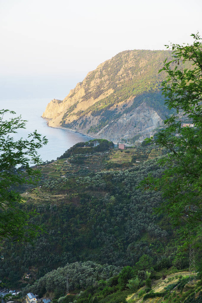 Vertical view of Ligurian sea coast, Italy. A lot of greenery, rocky coast, few buildings in the distance - Foto, imagen