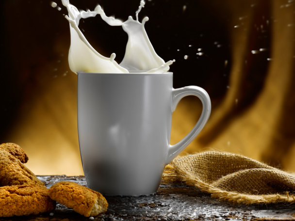 Milk - Photo, Image