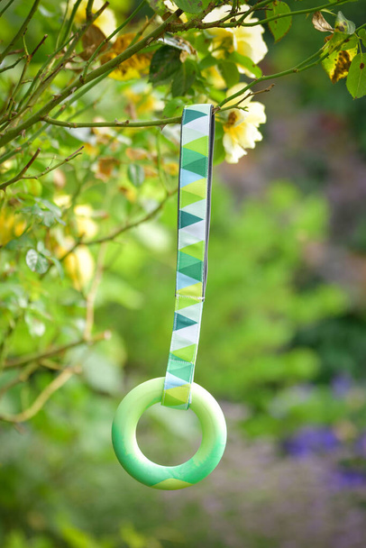 vanilková zelená kruhová hračka pro psa. měkká hračka z rouna vhodná pro každého psa a kočku - Fotografie, Obrázek