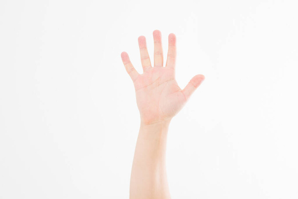 hand isolated on white.Voting hand. Mock up. Copy space. Template. Blank. - Photo, image