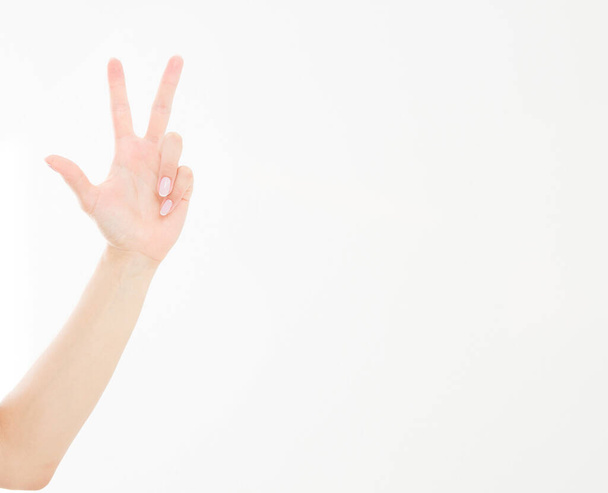 hand showing the sign of victory or peace closeup isolated on white background.Front view. Mock up. Copy space. Template. Blank. - Valokuva, kuva