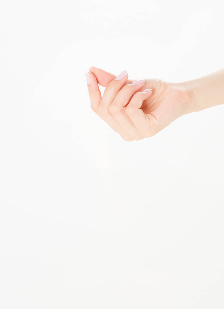 female hand hold something, isolated on white, woman's palm making gesture while showing small amount of something on white isolated background, side view, close-up, cutout, copy space - Photo, image