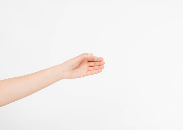 main féminine mesurant des objets invisibles, la paume de la femme faisant un geste tout en montrant une petite quantité de quelque chose sur fond blanc isolé, vue de côté, gros plan, découpe, espace de copie - Photo, image