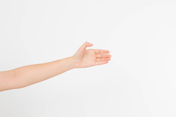 Showing size sign as caucasian hand gesture isolated over white background. afro american hand. Mock up. Copy space. Template. Blank. - Foto, immagini