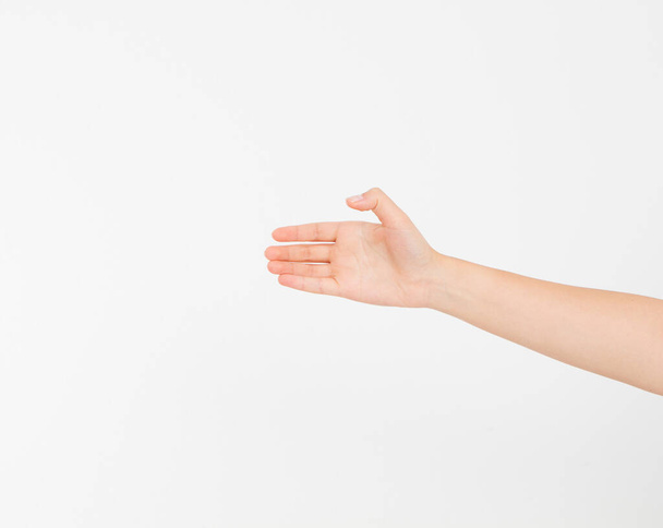 Εμφάνιση σημείου μεγέθους ως καυκάσια χειρονομία χέρι απομονώνονται σε λευκό φόντο. Αφρο-αμερικάνικο χέρι. Mock επάνω. Αντιγραφή χώρου. Πρότυπο. Κενό. - Φωτογραφία, εικόνα