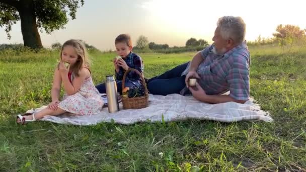 Gray haired father with two children picnicking on meadow at sunset. Little boy and lovely girl eating fruits. Family having leisure at nature. Male parent with kids spending time together outdoors. - Filmati, video