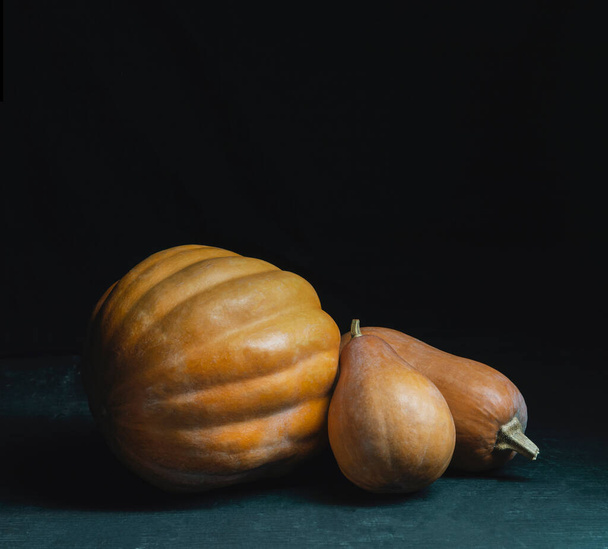 Autumn ripe pumpkins on a dark background with space for text. Thanksgiving or Halloween concept. Diet. Horticulture. Natural useful product. Diet. Pumpkin on the table. Autumn recipes. October. - Foto, Imagen