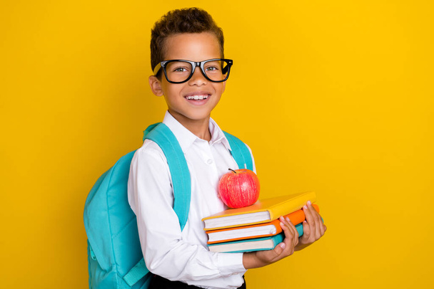 Portrait of intelligent friendly boy arms hold pile stack book apple isolated on yellow color background. - Photo, Image