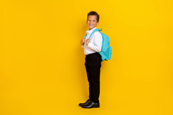Full body profile portrait of cheerful positive boy carry backpack isolated on yellow color background. - Foto, Imagen