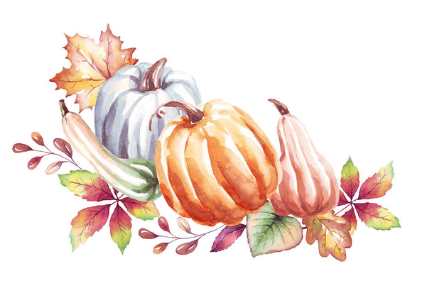 Pumpkins. Watercolor clipart. Hand-painted illustration - Photo, Image
