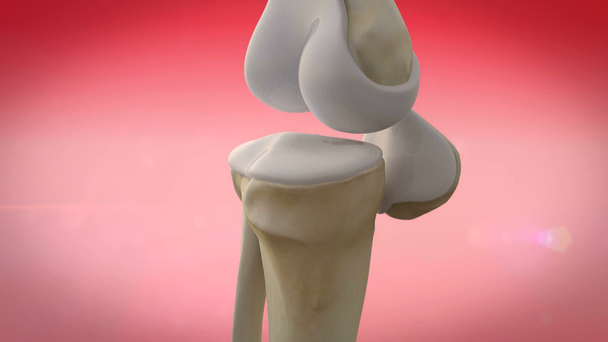 ludzkich kolan - Materiał filmowy, wideo