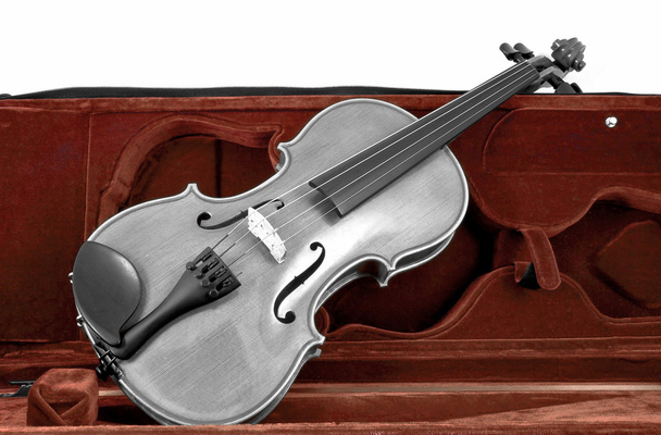 Schwarz-weiße Geige im rot-braunen Etui - Foto, Bild