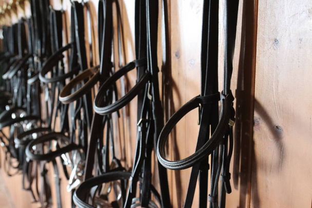 Zaumzeug für Pferde im Stall- - Foto, Bild