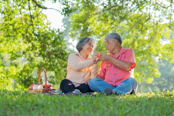 Happy old elderly couple spouses relaxing and sitting on a blanket in the park and sharing few precious memories. Senior couple having great time together on a picnic. concept of mature relationships - Photo, Image