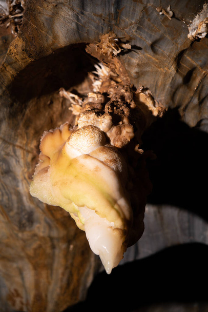Ochtinska Aragonite Cave, Slovakia - Foto, immagini