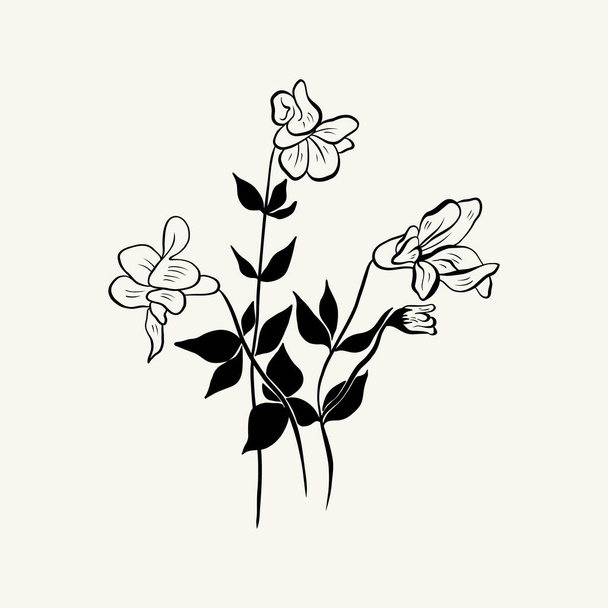 Flowers, Botanica illustration. Black ink, line, doodle style.  - Vetor, Imagem