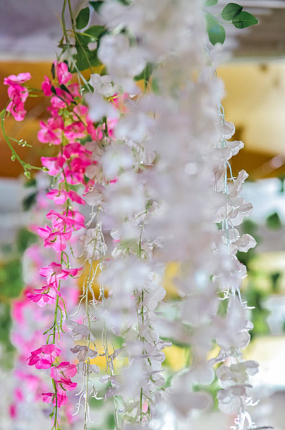 Αρκετά Cherry Λουλούδια για Inerior φόντο. Κομψό υποκατάστημα με υπέροχα πέταλα ροζ και άσπρο. - Φωτογραφία, εικόνα