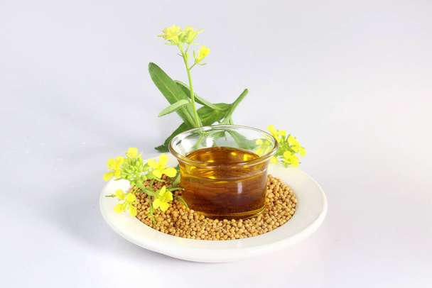 mustard oil, seed and flower on dish on white background. useful in cooking and external body care. Mustard seeds and oil with mustard plants with pods and flowers - Fotó, kép