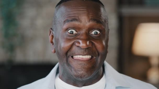 Glad happy african american grandfather ethnic man unshaved elderly 60s retired confident businessman handsome mature gentlemen laughing smiling white toothy smile gaze looking at camera posing indoor - Video