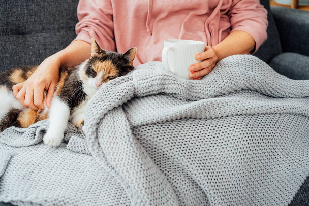 Close-up woman in a plaid drinking hot tea, petting a relaxed cat on the sofa at home. Cozy and comfortable winter or autumn weekends. Pleasant ways to keep warm. Take a break and relax - Φωτογραφία, εικόνα