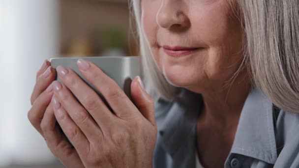 Close up elderly unknown grey-haired caucasian woman mature old grandmother middle aged lady pensioner female relaxing at home holding cup of tea coffee enjoying hot espresso drink healthy refreshment - Imágenes, Vídeo
