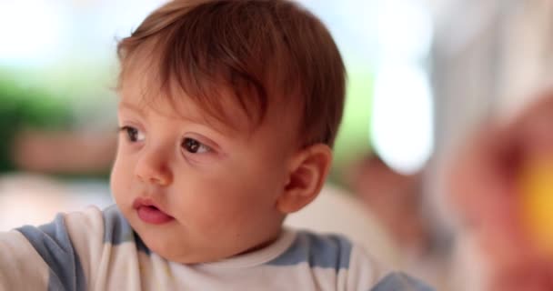 Baby child aversion to acidic lemon - Záběry, video
