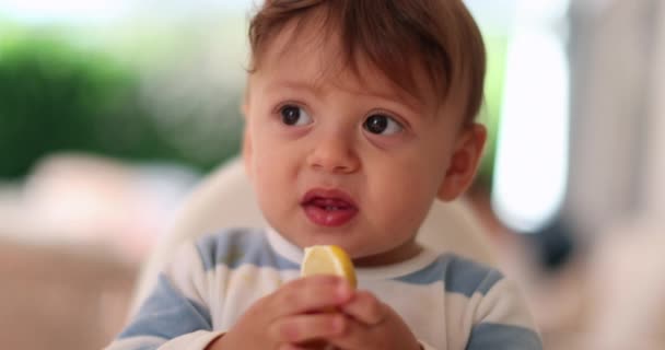 Bambino infante cercando frutta al limone - Filmati, video