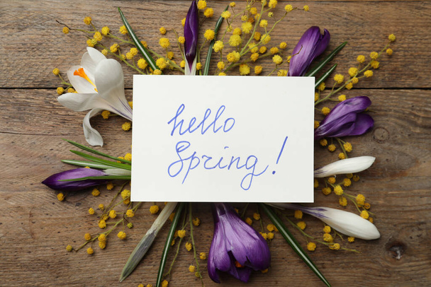 Card with words HELLO SPRING and fresh flowers on wooden table, flat lay - Foto, afbeelding
