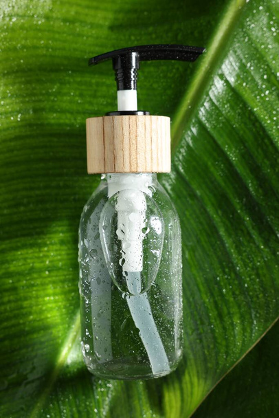 Bottle of cosmetic product on wet green leaf, top view - Foto, afbeelding