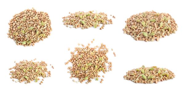 Set of sprouted green buckwheat on white background. Banner design - Foto, afbeelding