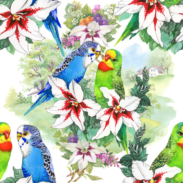Parrots and beautiful flowers - Foto, Imagen