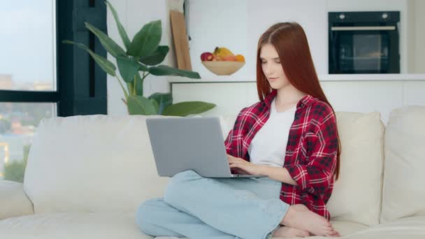 Young student caucasian freelancer housewife in casual clothes plaid short businesswoman girl sits on sofa search job vacancy in internet check email message pay bills online self-education e-learning - Imágenes, Vídeo